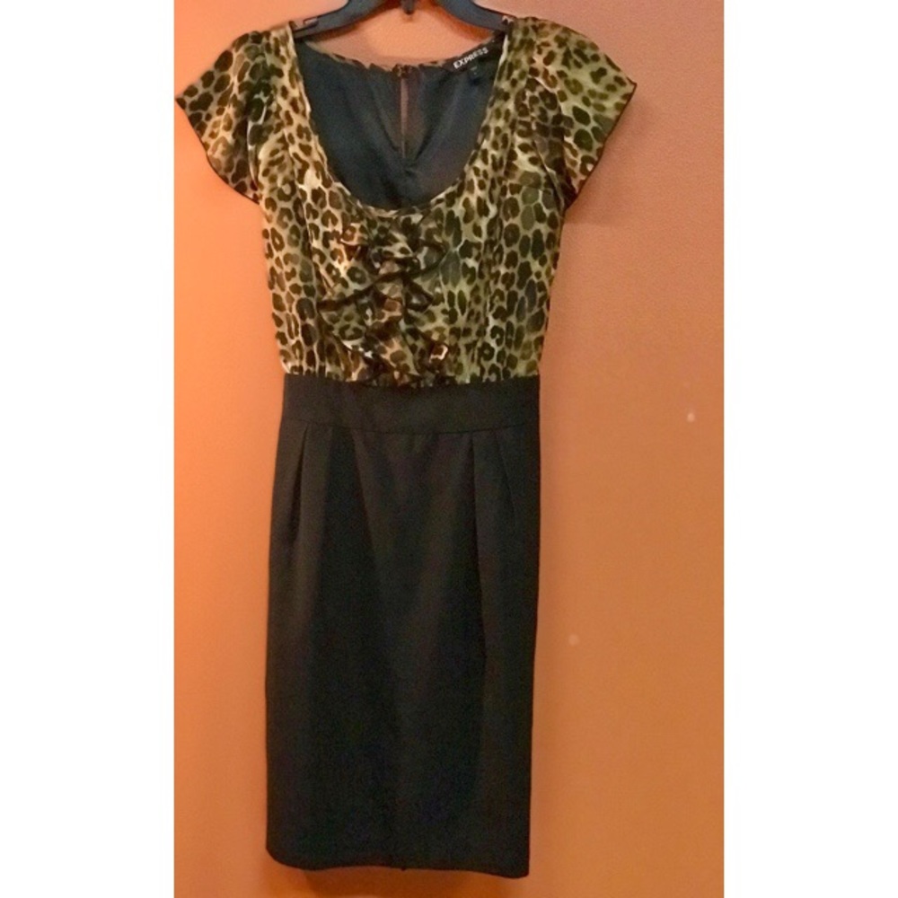 Express Dress
